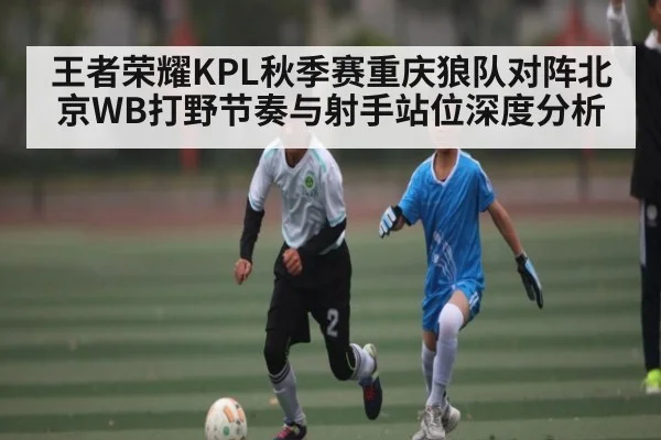 王者荣耀KPL秋季赛重庆狼队对阵北京WB打野节奏与射手站位深度分析