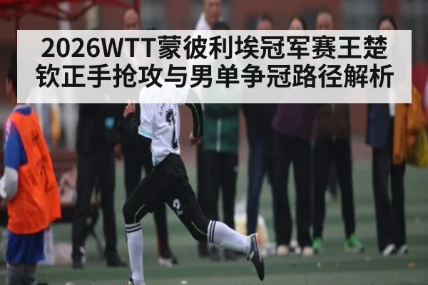 2026WTT蒙彼利埃冠军赛王楚钦正手抢攻与男单争冠路径解析