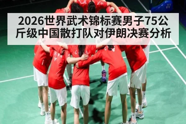 2026世界武术锦标赛男子75公斤级中国散打队对伊朗决赛分析